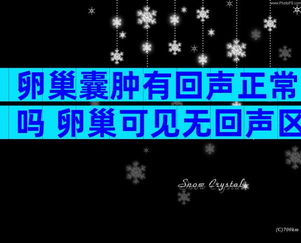 卵巢囊肿有回声正常吗 卵巢可见无回声区是什么意思